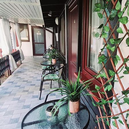 Pensiunea Red Rose Apartments تيميشورا المظهر الخارجي الصورة