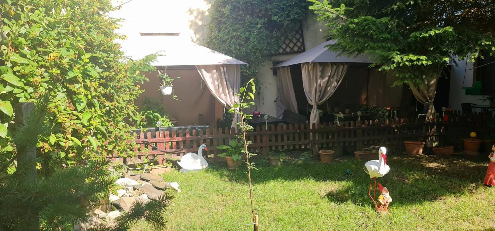 Pensiunea Red Rose Apartments تيميشورا المظهر الخارجي الصورة