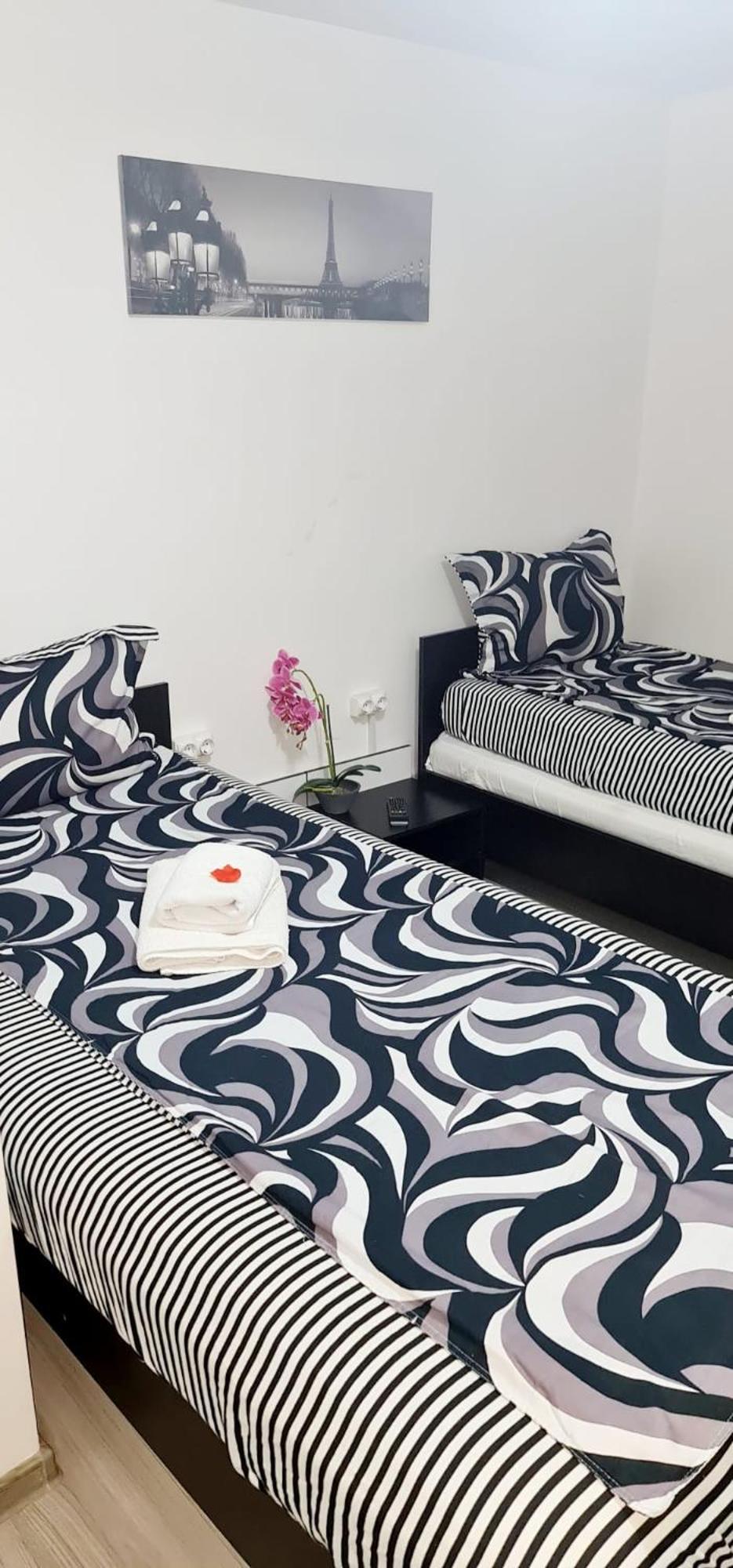 Pensiunea Red Rose Apartments تيميشورا المظهر الخارجي الصورة