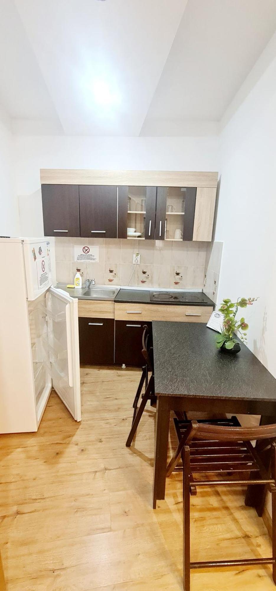 Pensiunea Red Rose Apartments تيميشورا المظهر الخارجي الصورة