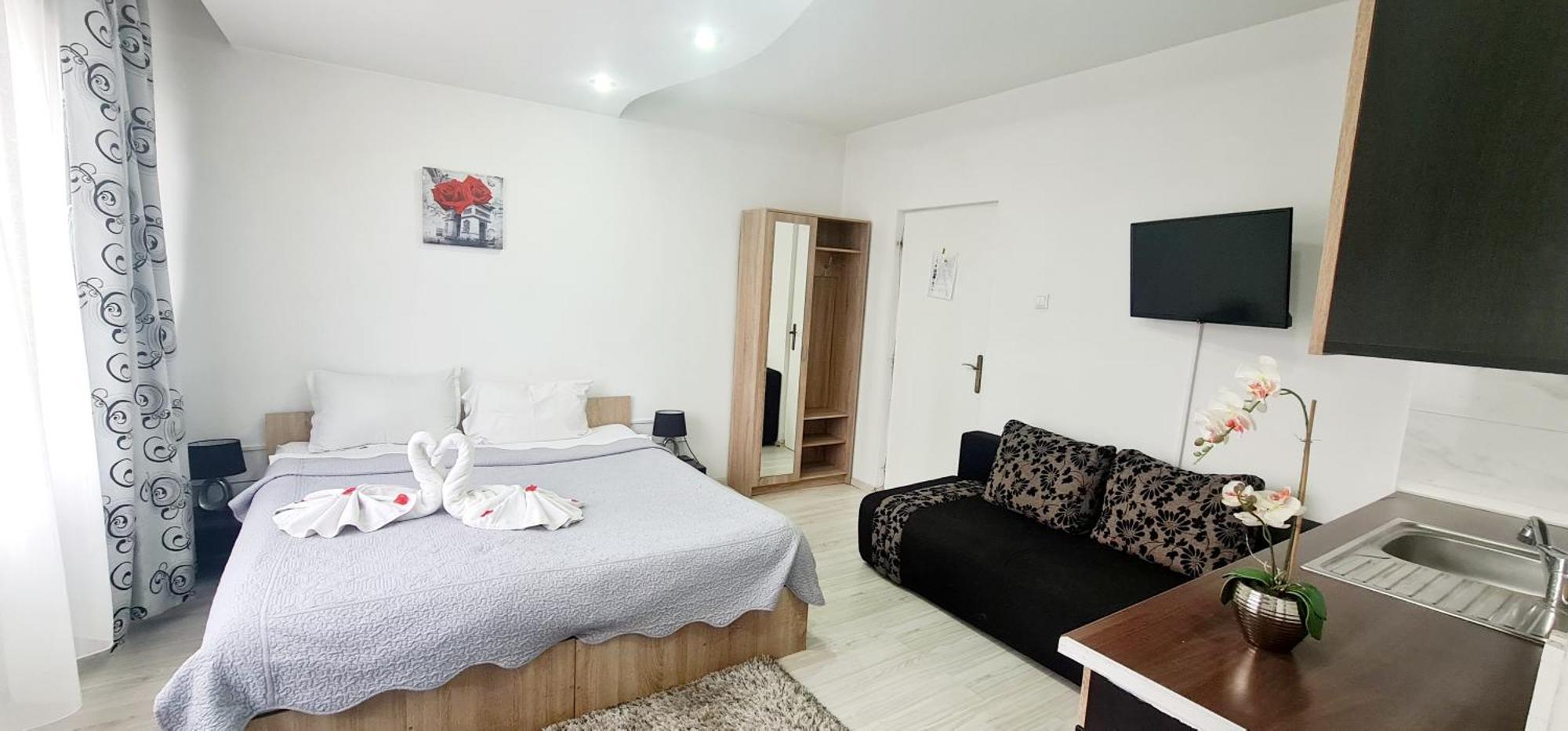 Pensiunea Red Rose Apartments تيميشورا المظهر الخارجي الصورة
