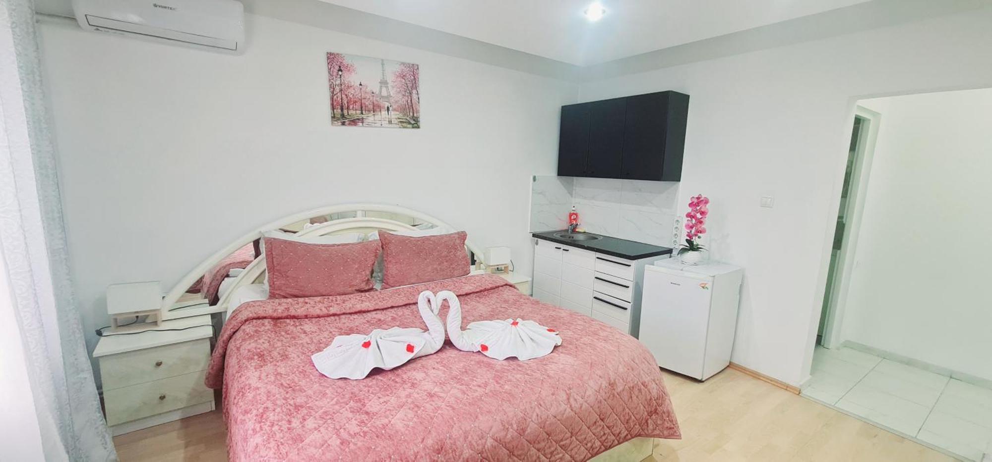 Pensiunea Red Rose Apartments تيميشورا المظهر الخارجي الصورة