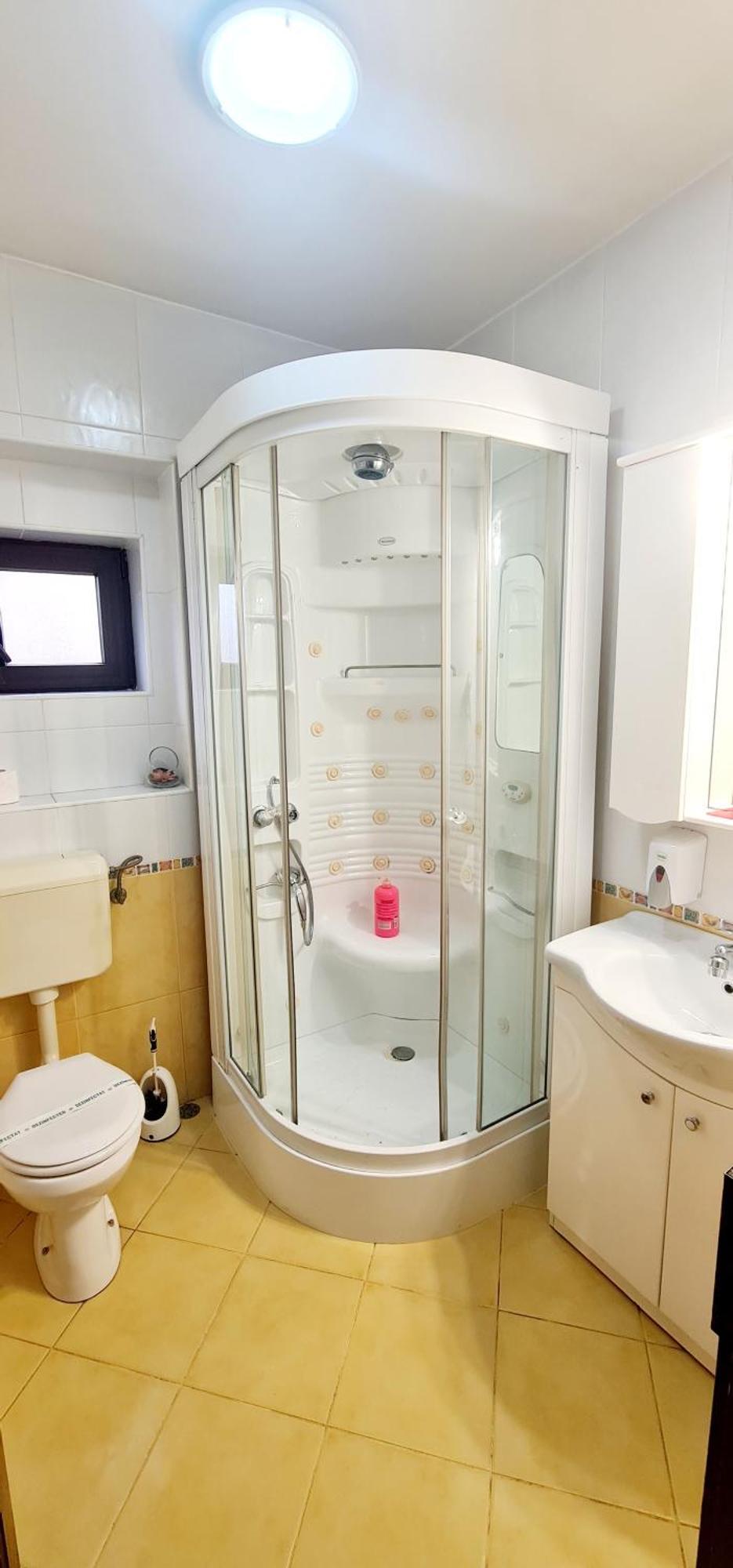 Pensiunea Red Rose Apartments تيميشورا المظهر الخارجي الصورة