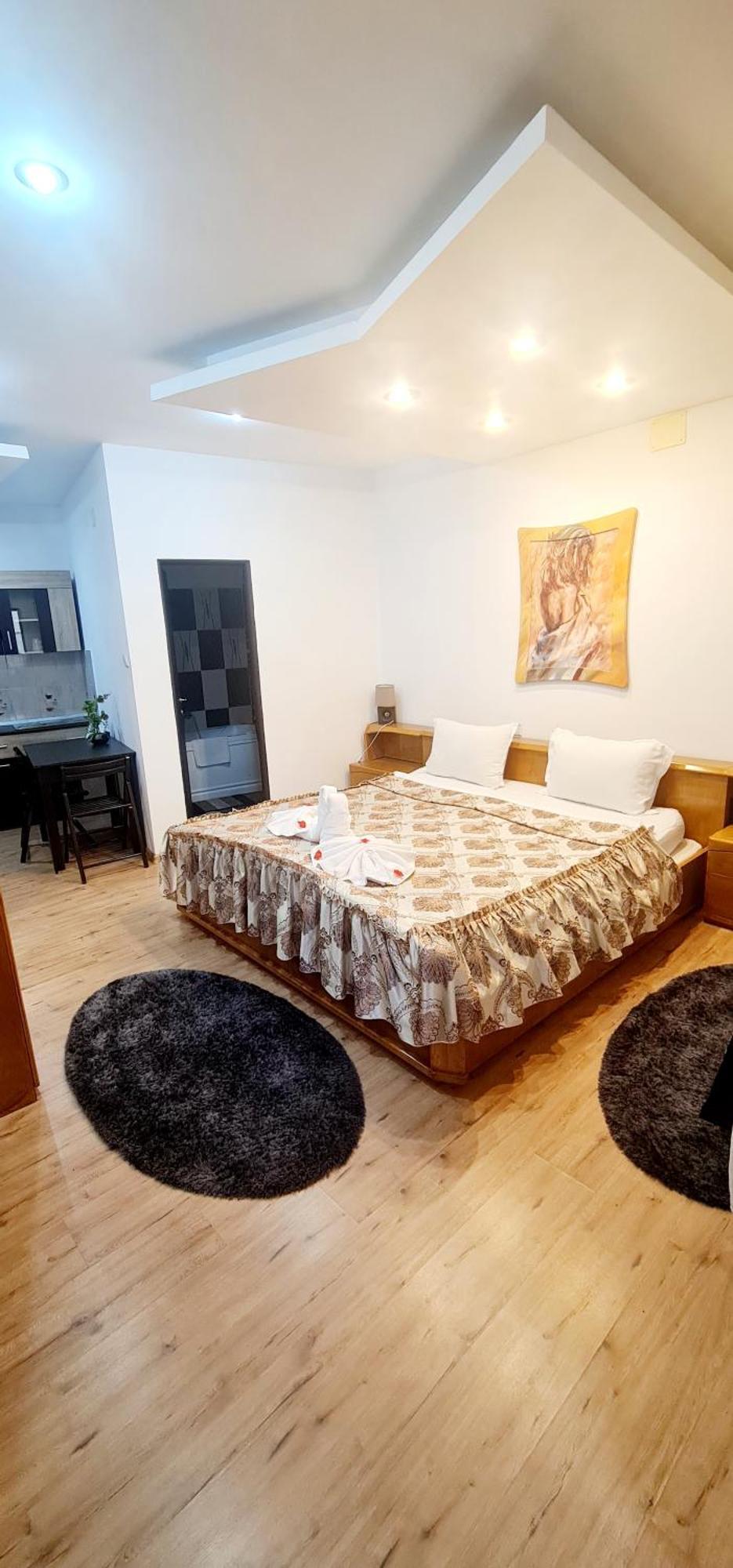 Pensiunea Red Rose Apartments تيميشورا المظهر الخارجي الصورة